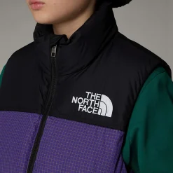 Chaleco Nuptse Retro 1996 Para Jóvenes