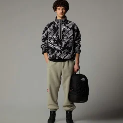 Forro Polar Con Cremallera De 1/4 TNF Fleeski Para Hombre