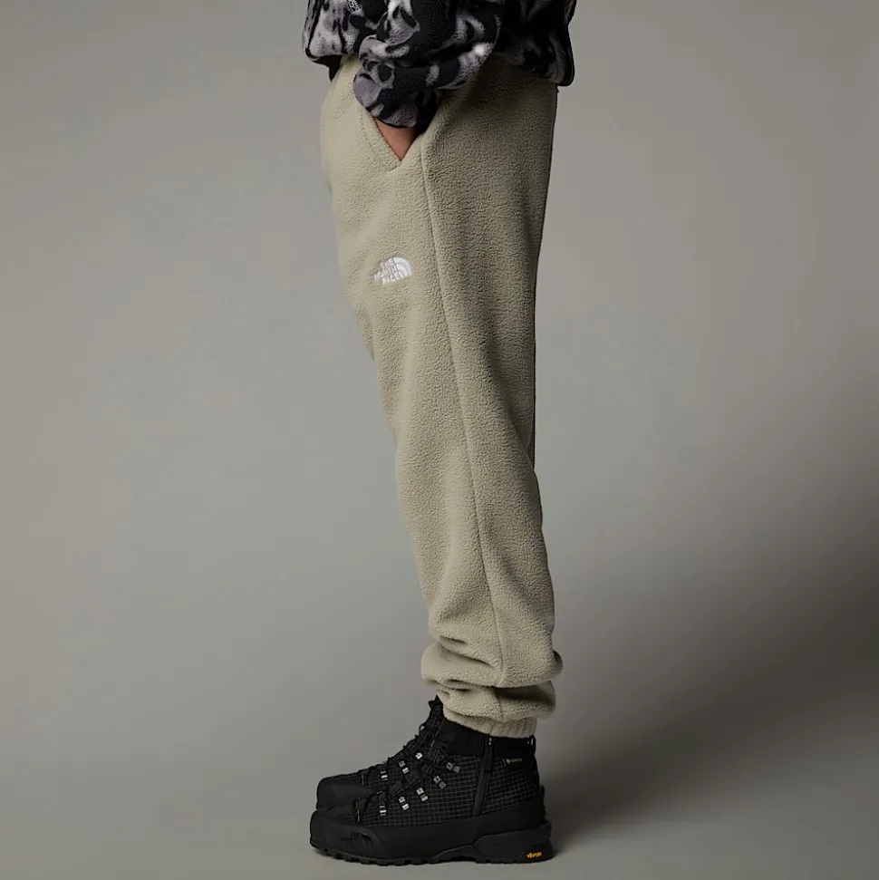 Pantalón De Chándal Polar TNF Fleeski Para Hombre