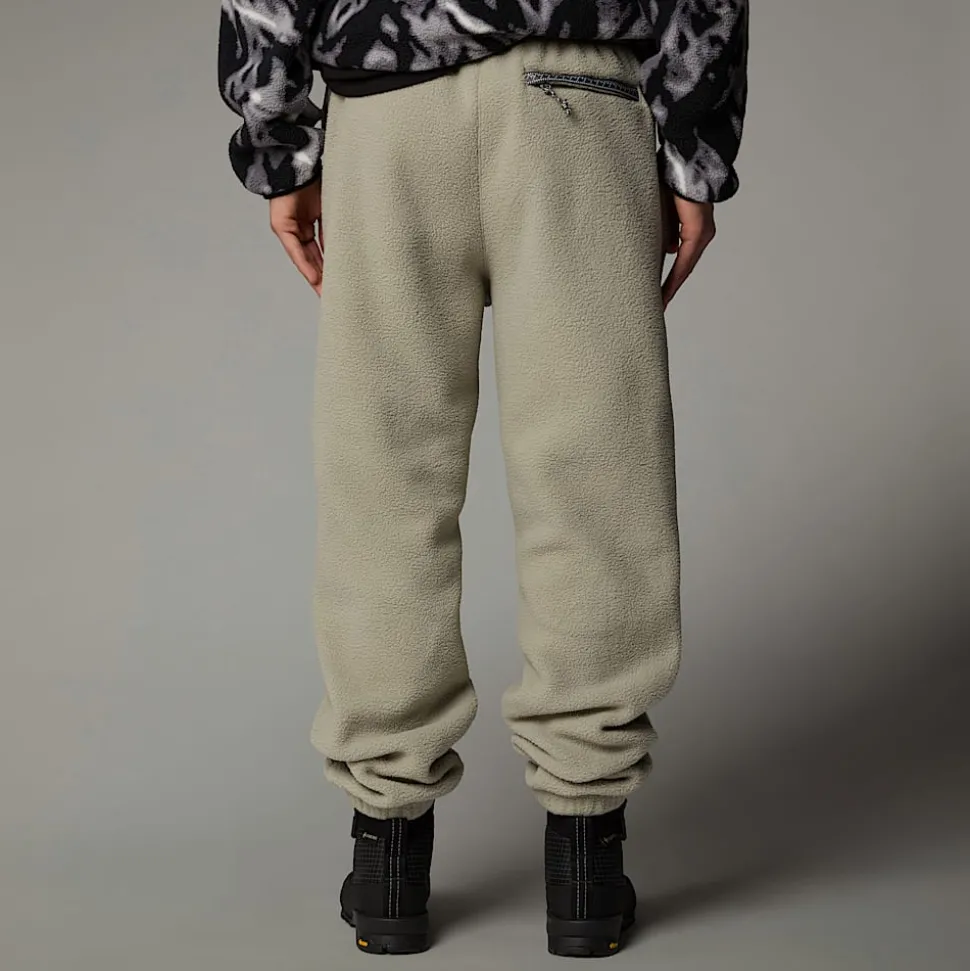 Pantalón De Chándal Polar TNF Fleeski Para Hombre